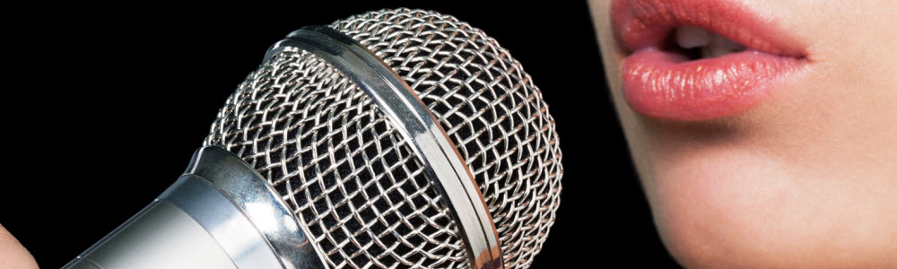vocal slider 2